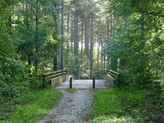 Wandelingen De Waldenaar 9