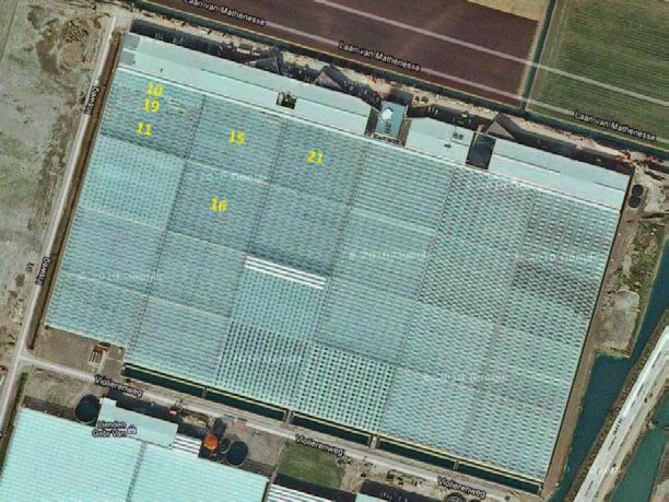 2 Bedrijf en metingen Plantenkwekerij Van der Lugt B.V. kent zoals alle opkweekbedrijven vele afdelingen. De meeste afdelingen hebben een oppervlakte van 5000 m 2, welke alle gebouwd zijn in 2005.
