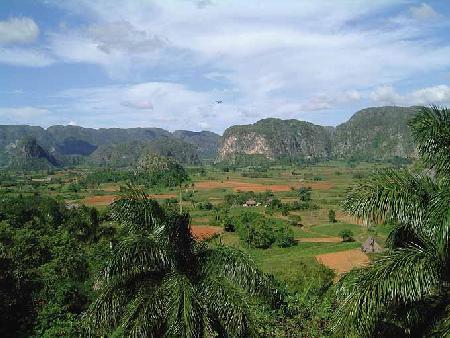 Dag 6 Pinar del Rio, optioneel Cayo Levisa Na twee volle dagen Havana verlaten we de hoofdstad en rijden we westwaarts naar de heuvelachtige provincie Pinar del Río, het centrum van de tabaksteelt.