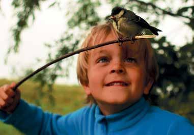 be/pagina/leersoorten-herkennen ontdek je welk(e) vogel, vis, zoogdier, amfibie, reptiel, insect, ongewervelde, paddenstoel, weekdier, plant, mos of korstmos je