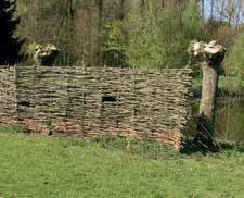 Wist je dat je de natuur een plezier doet als je gevallen bladeren, hakselhout of dode