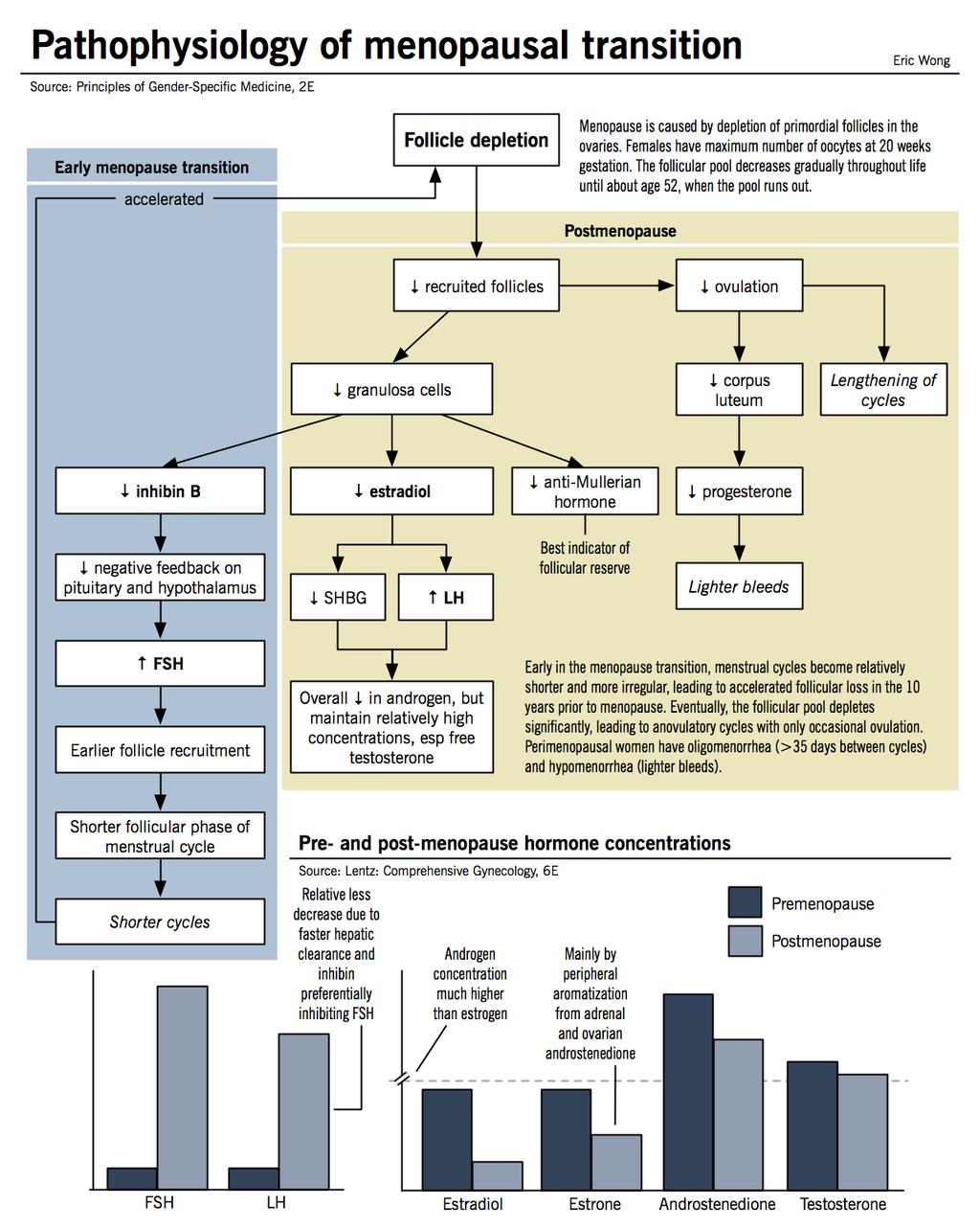 pathophys.