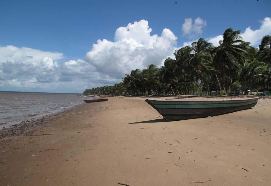 We bespreken de laatste informatie over het programma en nemen de praktische zaken door. De studiereis Dag 1 Zaterdag 17 november, Paramaribo s ochtend rond een uur of 09.