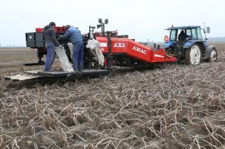 Knolbehandelingen Teeltoptimalisatie (plantafstanden) Plantversterkers 5 6 RH Kavel