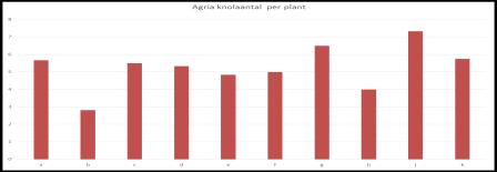 Agria gemiddeld knolaantal Fontane