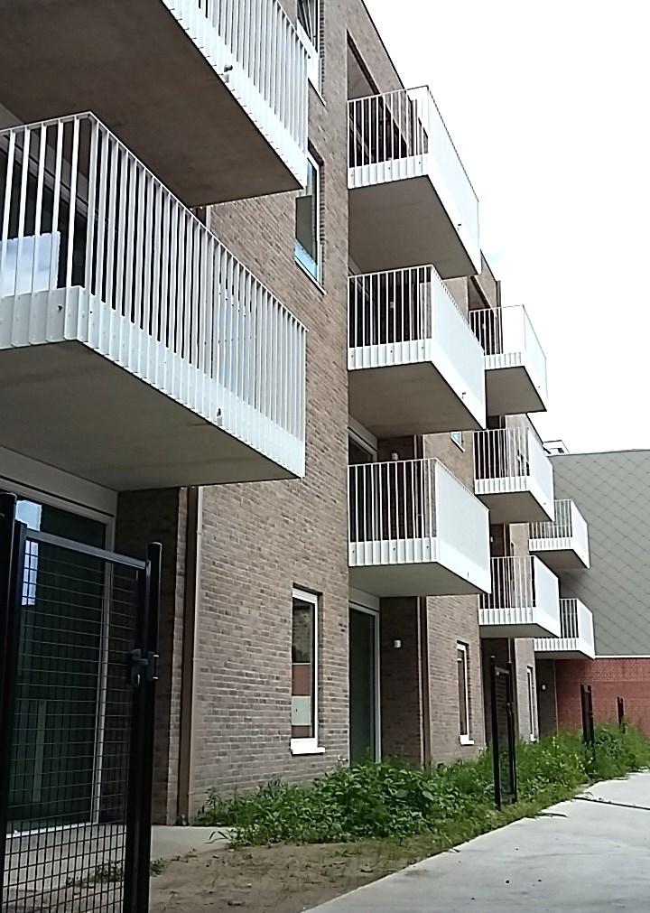 8. Sociale assistentiewoningen Botermarktpoort In Ledeberg bouwde sociale huisvestigingsmaatschappij WoninGent 19 sociale assistentiewoningen. OCMW Gent zorgt voor de dienstverlening.