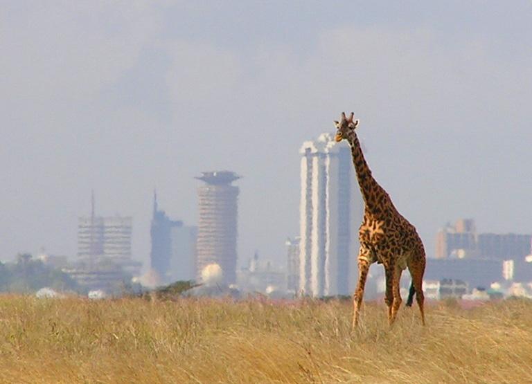 DEELNEMERS David Vervoort (vijfdejaars student Bouwkunde) en Jorn van de Ven (vijfdejaars student Werktuigbouwkunde) zullen 3 maanden in Nairobi verblijven om onderzoek uit te voeren naar de