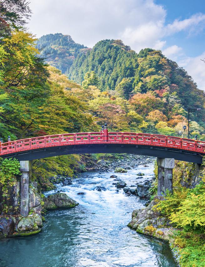 vertegenwoordiger. Shuttle transfer naar het stadscentrum. Dag 3: Tokyo (B) Ontbijt. Vrije tijd om Tokyo op eigen houtje te verkennen of deelname aan de optionele excursie: Panoramisch Tokyo.