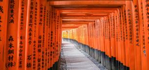 Optionele excursies vanuit Kyoto In internationaal gezelschap met Engelstalige begeleiding (prijzen op tooku.