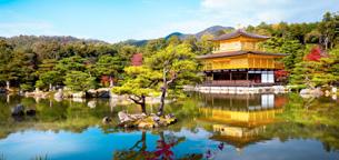 Je gaat verder naar Kinkakuji, of het Gouden Paviljoen, het beroemdste bouwwerk van Kyoto. De houten architectuur is bedekt met fijne laagjes goud en omgeven door een mooie vijver.