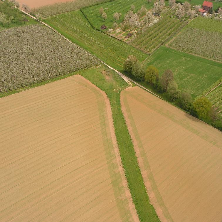 Grasbanen zijn zeer doeltreffend om het wegvloeien van vruchtbare grond te verhinderen, maar