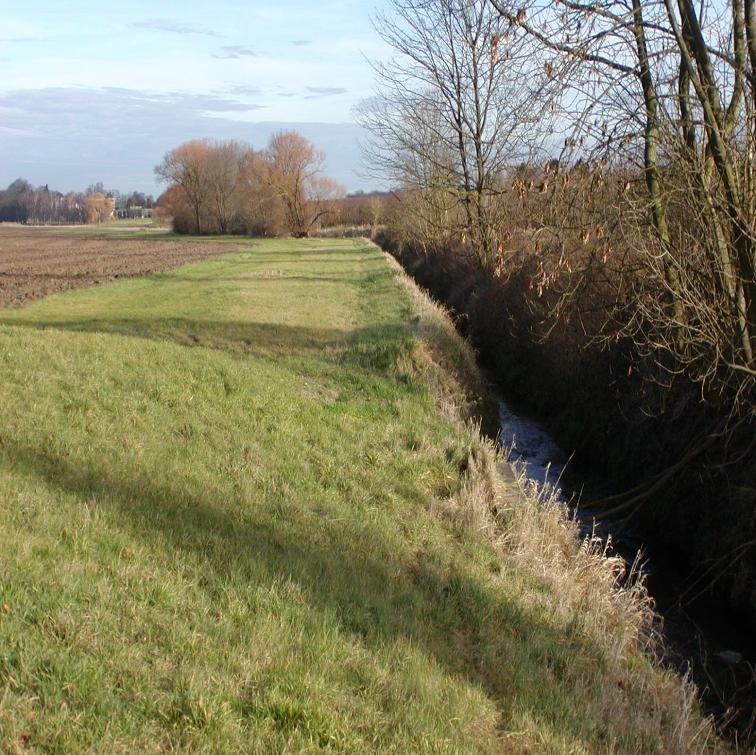 Beken worden beschermd met grasstroken. Door de aanleg van grasstroken langs beken worden meerdere problemen tegelijkertijd aangepakt.