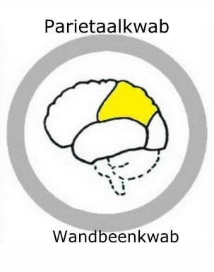 is altijd schedelletsel. - Niet-Traumatisch hersenletsel: Ontslaat gedurende het leven van binnen uit het lichaam.