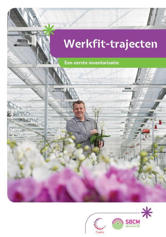 AANLEIDING Participatiewet: meer nadruk op doorstroom SER verkenning 2016: Belang van werkfit maken