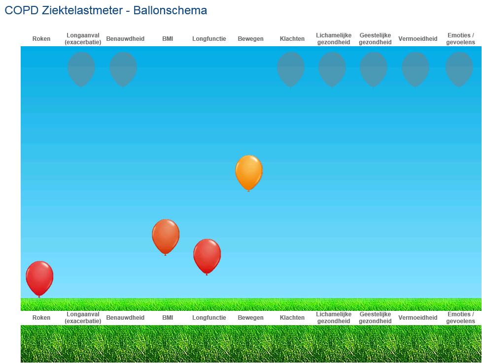 Het ballonnenschema visualiseert de uitkomsten van de vragenlijst van patiënten en zorgverlener. De ballonnen zijn er in vier kleuren.