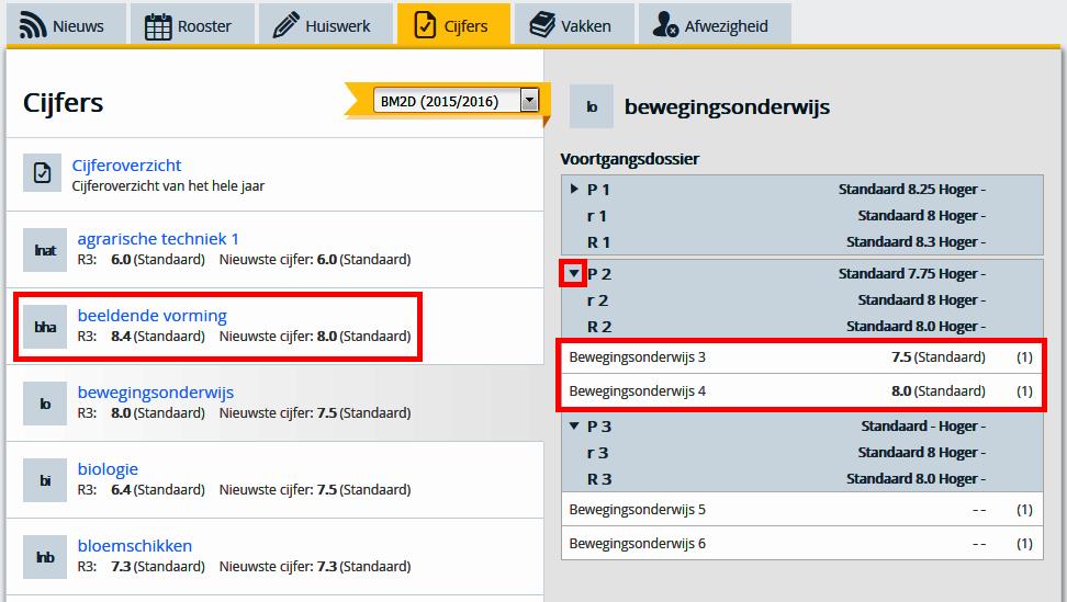 Bij het Cijferoverzicht zijn alle behaalde cijfers met de gemiddelden te