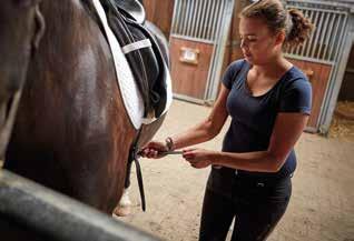 WEDSTRIJDEISEN NA LEERJAAR 1 Aan het einde van het eerste leerjaar moet je als ruiter of amazone voldoen aan de volgende wedstrijdeisen: B-springen + 5 winstpunten en L1 dressuur