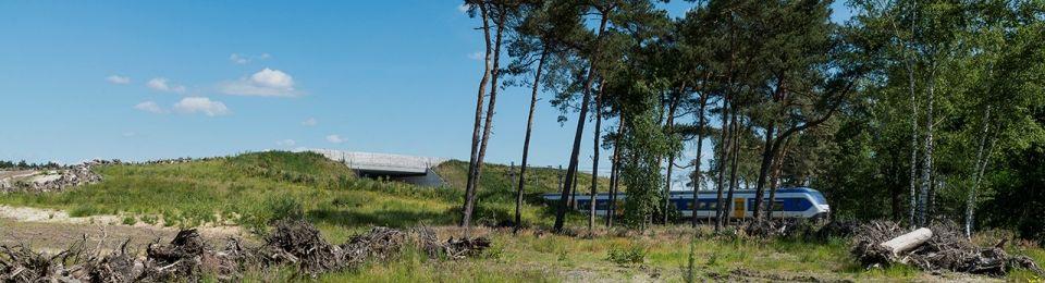 Voorbeeld: ecoduct AsselscheHeide (1) In de Veluwe wordt dit natuurgebied doorkruist door het spoor tussen Amersfoort en Apeldoorn.