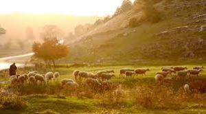 In deze drukke tijden een tip voor de rustzoekers: De Heer is mijn herder - https://www.youtube.com/watch?v=hhbft1caxa0 Refr.