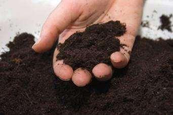 Bodemleven Organische stof: Dus bij slecht bodemleven: - Geen omzetting van organische stof tot