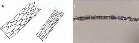 Uit het microscopisch onderzoek is naar voren gekomen dat de haren niet van Tommie R. zijn. Het vermoeden is dat de haren afkomstig zijn van een dier.