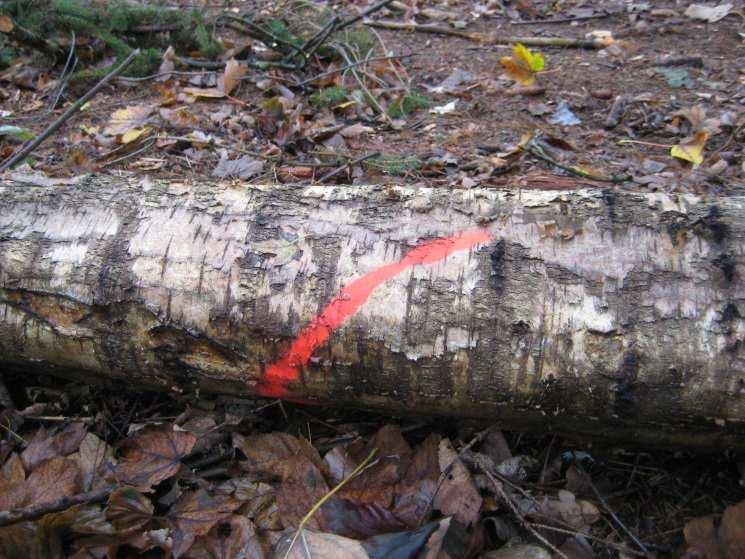 ie: schoontijd Geen werken in het bos tussen 1 ap