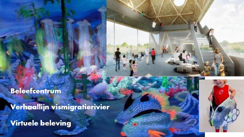 Uitwerking: Recreatieve beleving 4 Uitwerking: Recreatieve beleving De recreatieve beleving is verder uitgewerkt naar voorstellen op de kaart. 4.1 Beleefcentrum Het beleefcentrum is de start van de recreatieve belevingen.