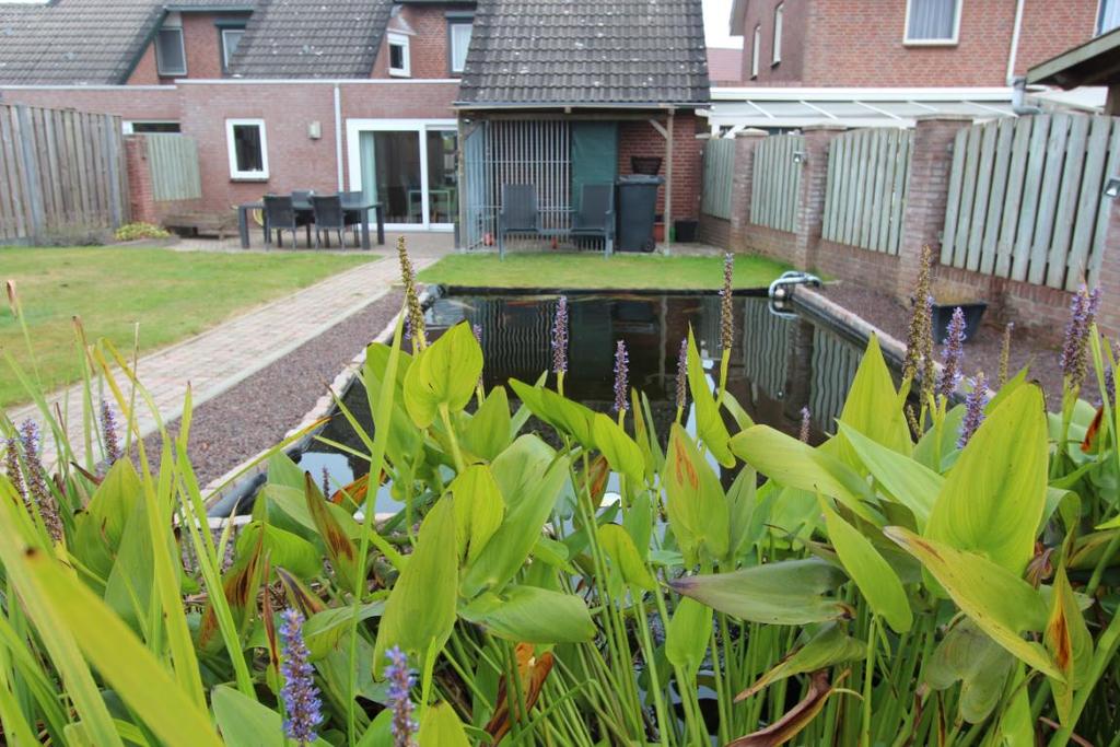 TUIN 14