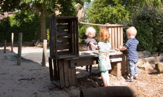 Haarlemse Bomenwacht niet negatief tegenover deze ontwikkeling in een stad waar verdicht wordt.