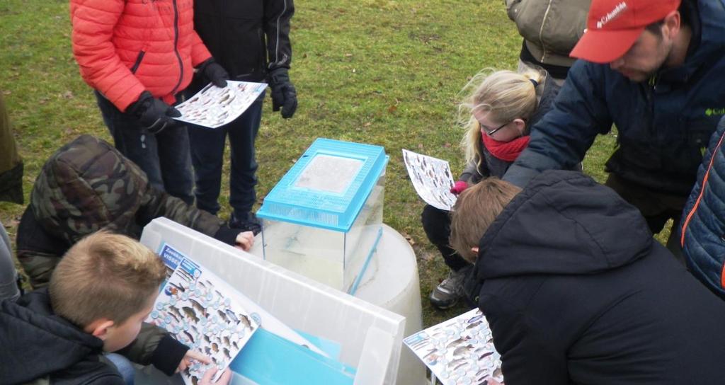 - Vestinggrachten 2 en 3 te Heusden- Met de zegen is circa 2,6 hectare water bevist (38%). Met het elektrovisapparaat is bijna 1700 meter oever bevist, wat 75% van de totale oeverlengte is.