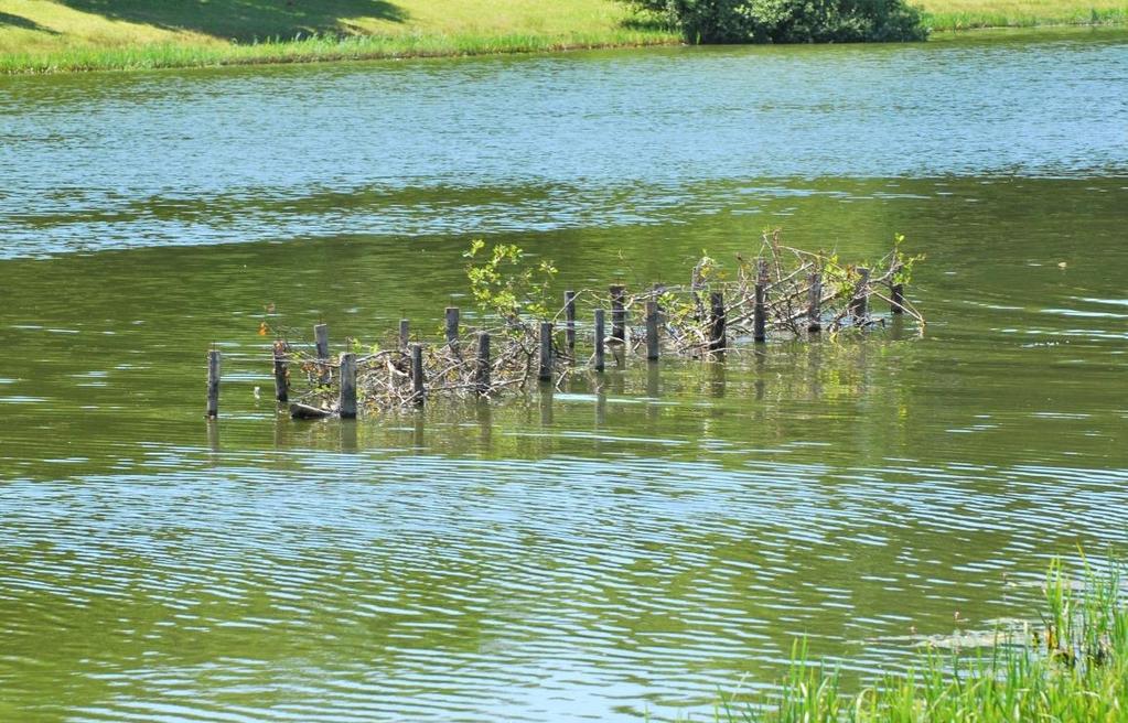 - Knelpunten en aanbevelingen - plaatse dient bij voorkeur minimaal 1 tot maximaal 2 meter te bedragen. Voor kleine vis, met name witvissoorten is de aanleg van structuur noodzakelijk.