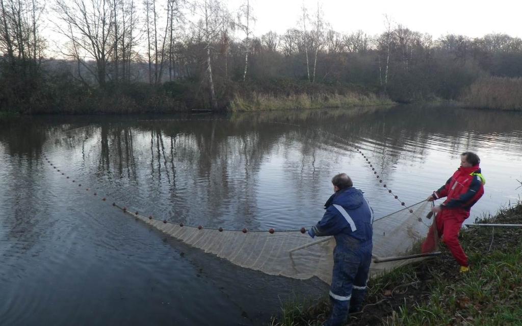 - Uitvoering van het visserijkundig onderzoek - 4.