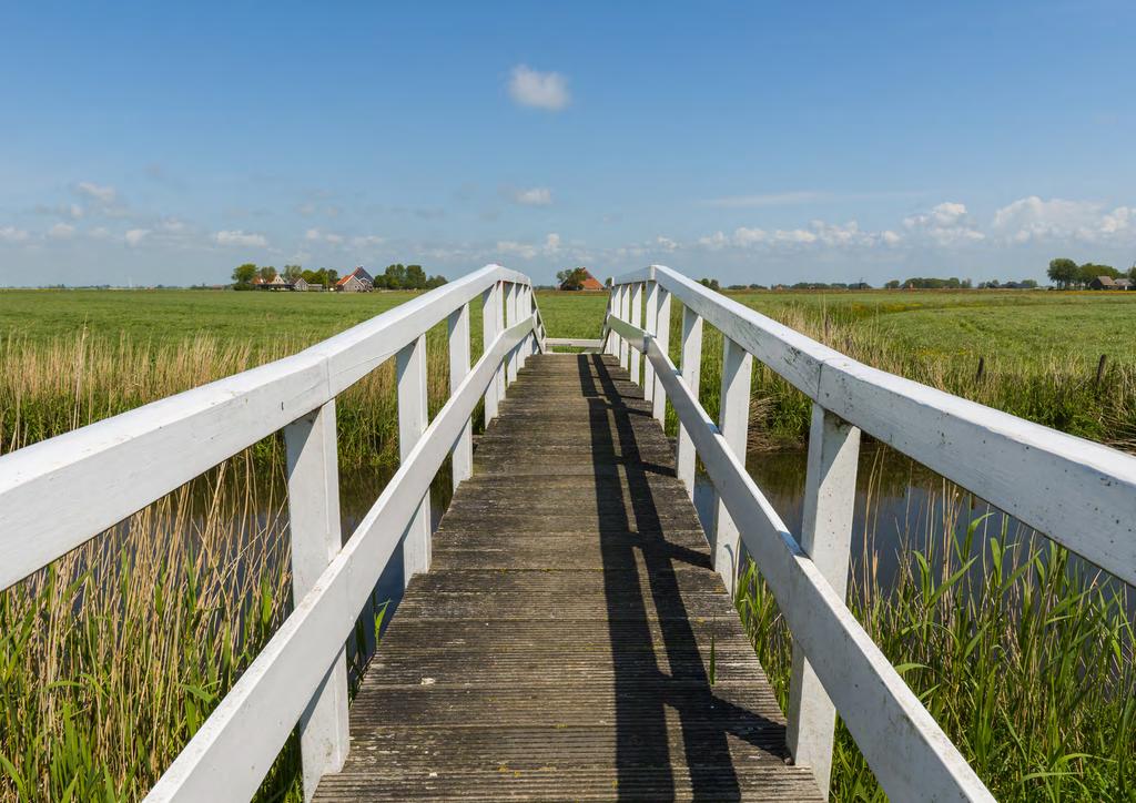 JAARBERICHT 201 5 > Samenhangende zorg dichtbij de mensen >