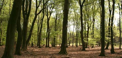 Zaterdag 27 september is het alweer de laatste activiteit van de eerste maand van ons scoutsjaar.