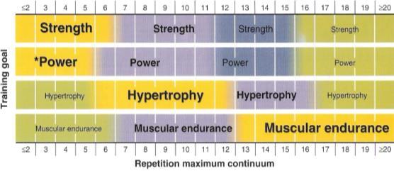 Type II Type I Beachle and Earle. Essentials of strength training and conditioning.