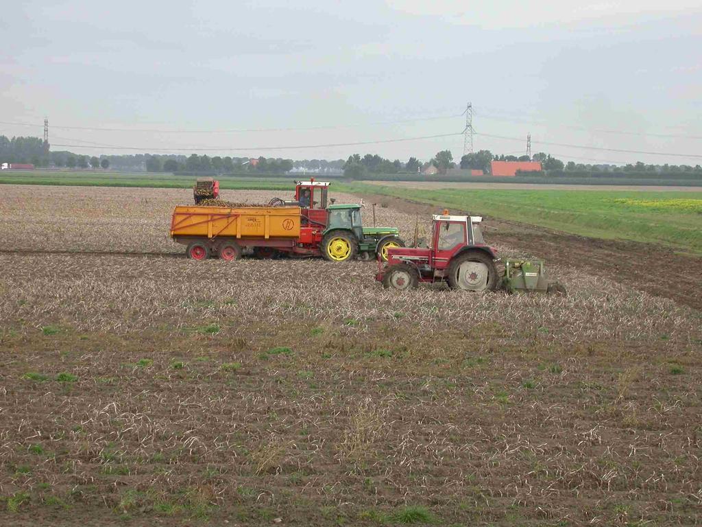 Verslag waarnemingen loofdoding