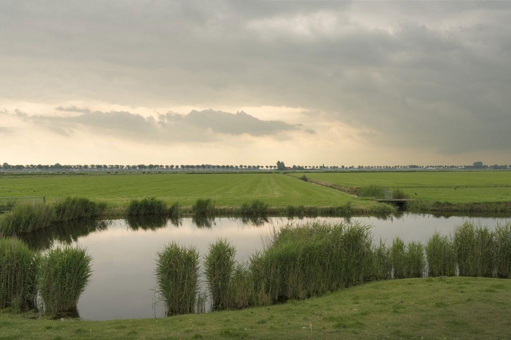 West-Friesland Midden Provincie Noord-Holland CONTEXT De Westfriese Omringdijk vormt een herkenbare omlijsting van het oude zeekleilandschap van West-Friesland. Hierin liggen diverse droogmakerijen.