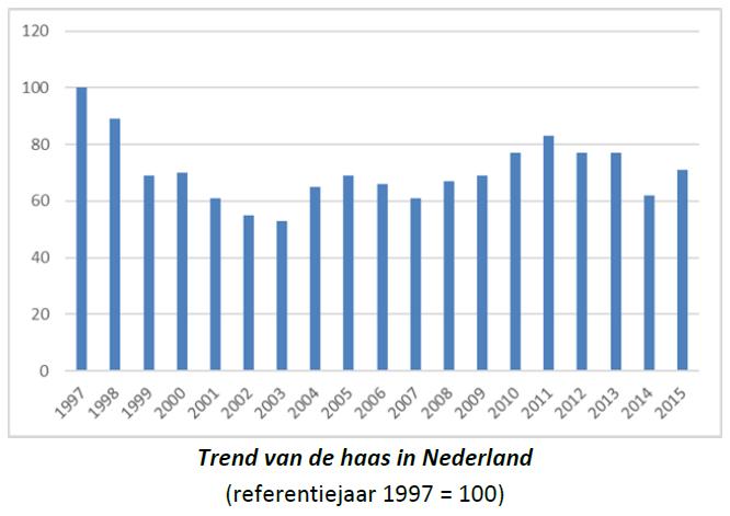 5.3 Haas (Lepus europaeus) 1. Status De haas was reeds beschreven in het fbp. Omdat de tekst op een aantal punten herziening behoefde, is deze integraal herschreven.