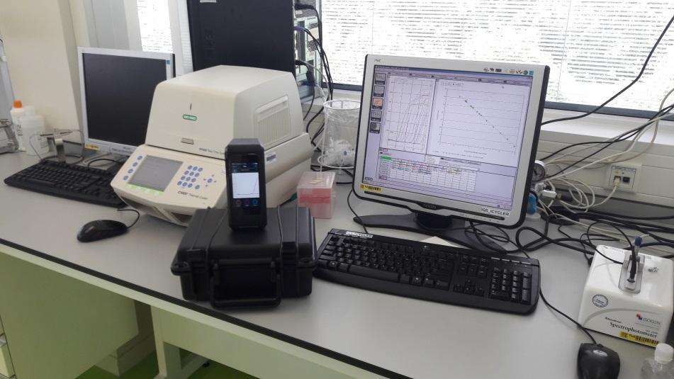 Fase 1 2 : Target en optimalisatie Primer sets geselecteerd voor: 23srRNA uida tuff Test op dh5a en k12