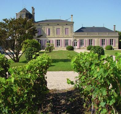 Château Chasse-Spleen 2015 A.O.P. Bordeaux Verpakt per 6 of 12 Witte wijn is zo zeldzaam in de Médoc dat die onder de appellatie Bordeaux valt.