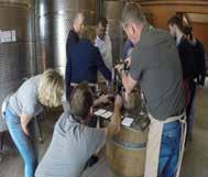 De gemeenschappelijke deler van alle deelnemers is de meest belangrijke: we genieten van heerlijke wijnen en vinden het leuk om verschillende wijnen te proeven.