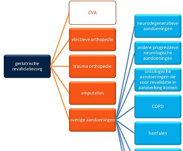 Doelgroep Geriatrische Revalidatiezorg De geriatrische revalidatiezorg richt zich op kwetsbare personen, met complexe multimorbiditeit en afgenomen leer- en trainbaarheid 5.