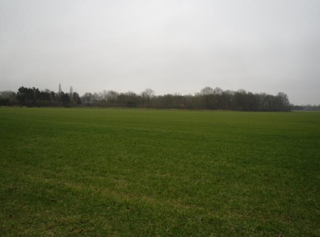 Het buitengebied wordt gekenmerkt door de afwezigheid van oude karakteristieke woningen. Het merendeel van de woningen dateert van na 1970 en is nadien gemoderniseerd.