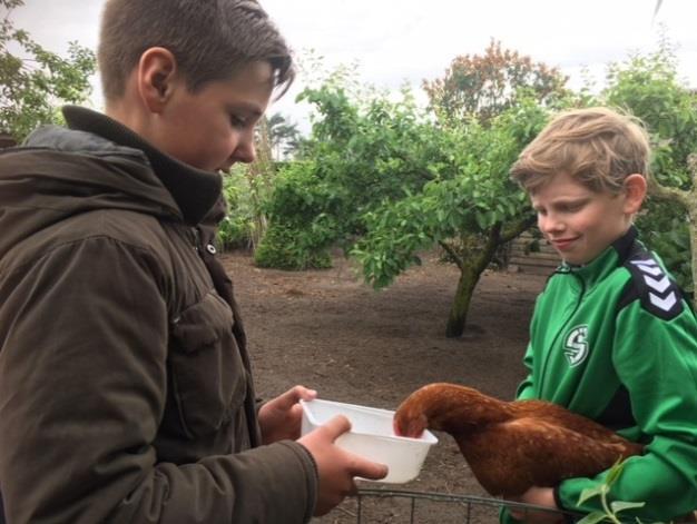 Kabouterpad herhaling Op woensdag 20 juni is alweer het laatste kabouterpad van het schooljaar, namelijk het