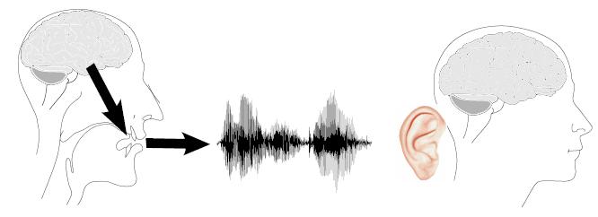 Spraakketen (2) 2. De spierbewegingen veroorzaken trillingen (geluid).
