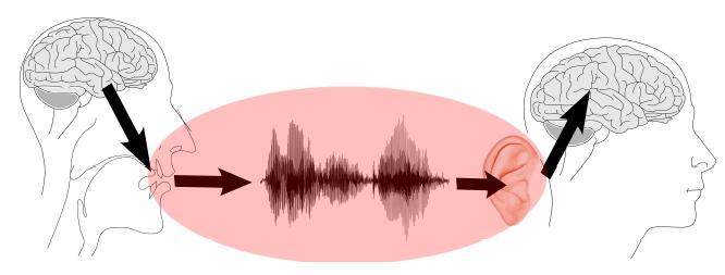 Focus fonetiek in spraakketen De fonetiek houdt zich bezig met de productie, akoestiek en