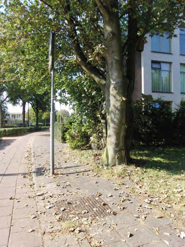 Korte Ossendamweg 46 Tegels bij paal zijn verzakt. Foto SZ 4.047.