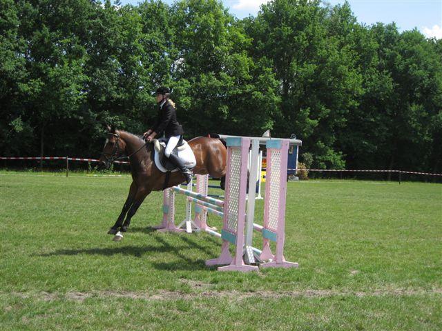 Demonstraties waarin de veelzijdigheid van de paardensport