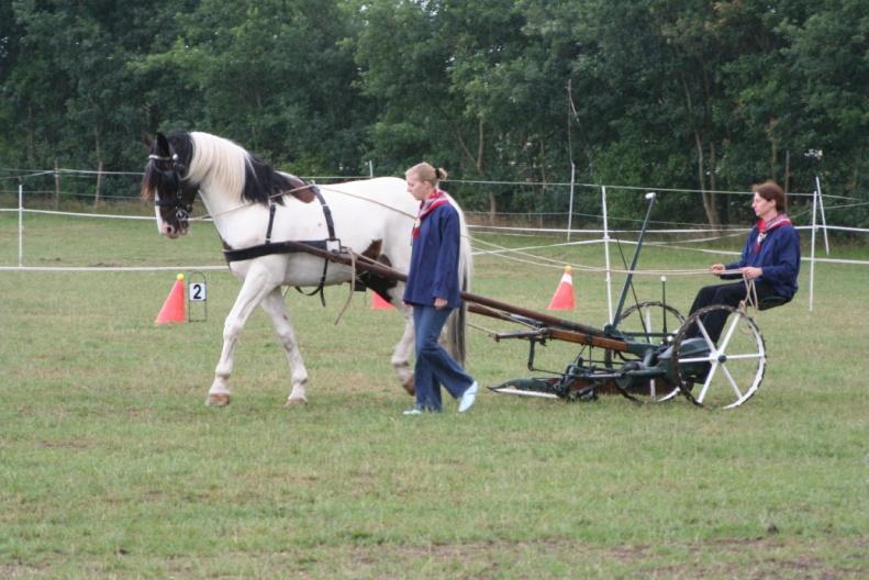 Daarna was het de beurt aan de manegevereniging: Claudia Nobbe (Harry), Lisanne van Leeuwen (Senne),