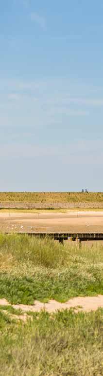 8 Gebruiksmogelijkheden Roompot Vakanties beheert en verhuurt de recreatiewoningen, Beach Houses en lodges in Noordzee Beach Village Nieuwvliet-Bad.